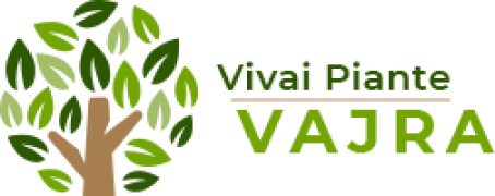 Vajra