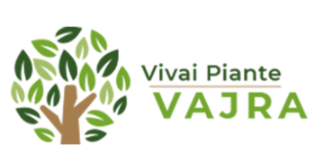 Vajra